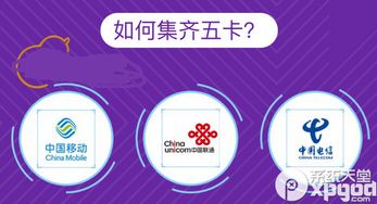 支付寶517通信狂歡節集卡攻略 高效掃碼與卡集信息全解析